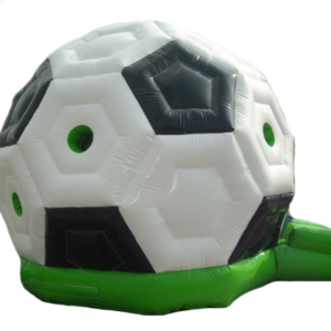 FUSSBALL – Bild 1