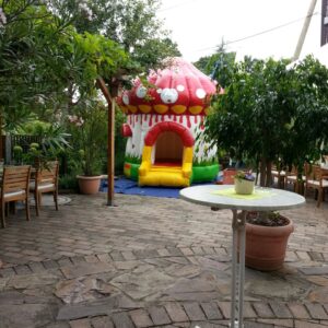 SCHWAMMERL – Bild 4