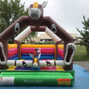 KLEINER ESEL – Bild 2