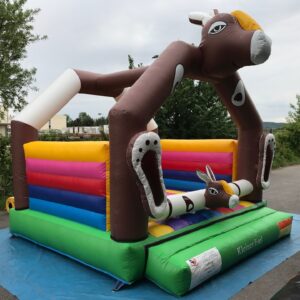 KLEINER ESEL – Bild 3
