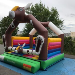 KLEINER ESEL – Bild 4