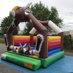 KLEINER ESEL – Bild 5