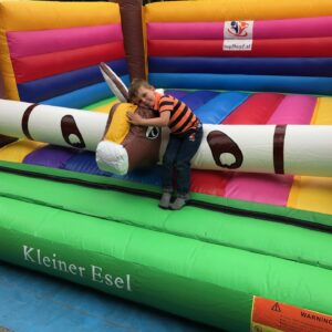KLEINER ESEL – Bild 6