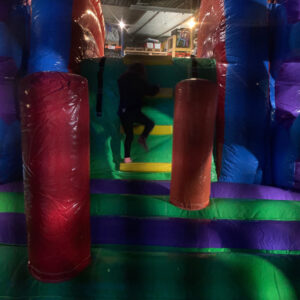 ANIMALPARTY – Bild 2