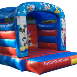 DISNEYHOUSE – Bild 1